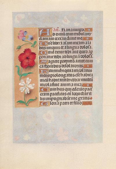 女王イザベラカトリック、スペイン女王の時間：フォル。 132v、c。 1500。 作： Master of the First Prayerbook of Maximillian