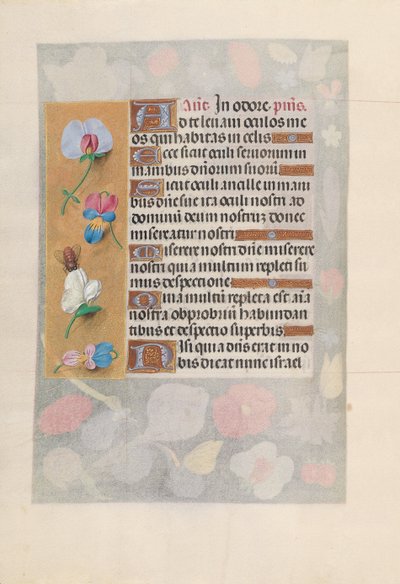 女王イザベラカトリック、スペイン女王の時間：フォル。 137v、c。 1500。 作： Master of the First Prayerbook of Maximillian