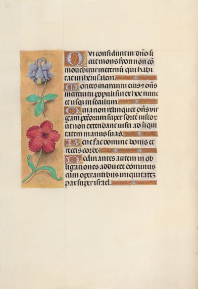 女王イザベラカトリック、スペイン女王の時間：フォル。 138v、c。 1500。 作： Master of the First Prayerbook of Maximillian