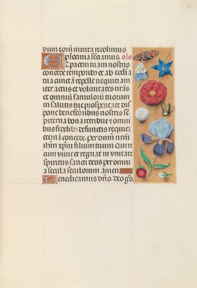 女王イザベラカトリック、スペイン女王の時間：フォル。 140r、c。 1500。 作： Master of the First Prayerbook of Maximillian
