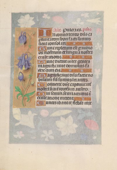 女王イザベラカトリック、スペイン女王の時間：フォル。 142v、c。 1500。 作： Master of the First Prayerbook of Maximillian