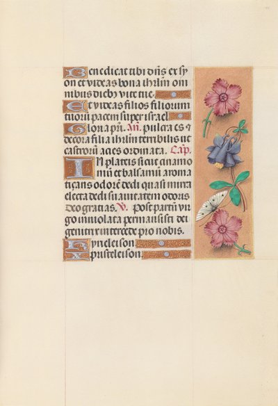 女王イザベラカトリック、スペイン女王の時間：フォル。 144r、c。 1500。 作： Master of the First Prayerbook of Maximillian