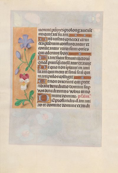 女王イザベラカトリック、スペイン女王の時間：フォル。 155v、c。 1500。 作： Master of the First Prayerbook of Maximillian