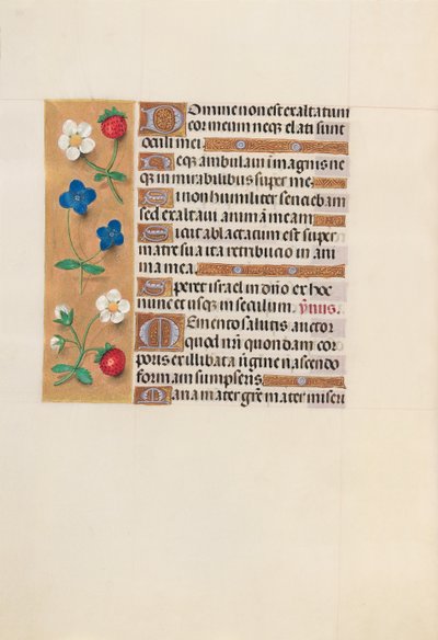 女王イザベラカトリック、スペイン女王の時間：フォル。 156v、c。 1500。 作： Master of the First Prayerbook of Maximillian