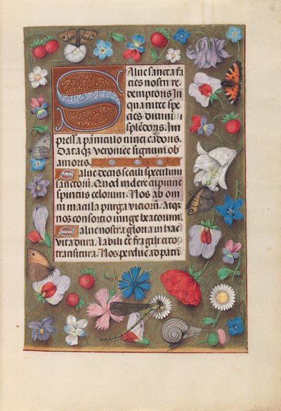 女王イザベラカトリック、スペイン女王の時間：フォル。 15r、c。 1500。 作： Master of the First Prayerbook of Maximillian
