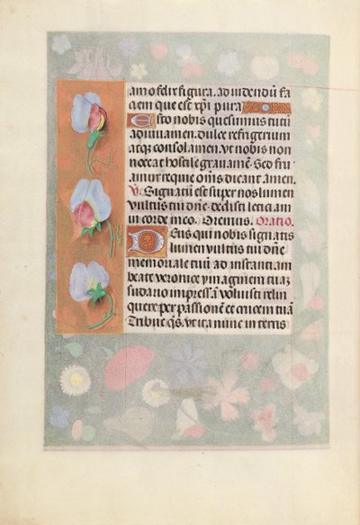 スペイン女王イザベラ女王の時間：フォル。 15v、c。 1500。 作： Master of the First Prayerbook of Maximillian