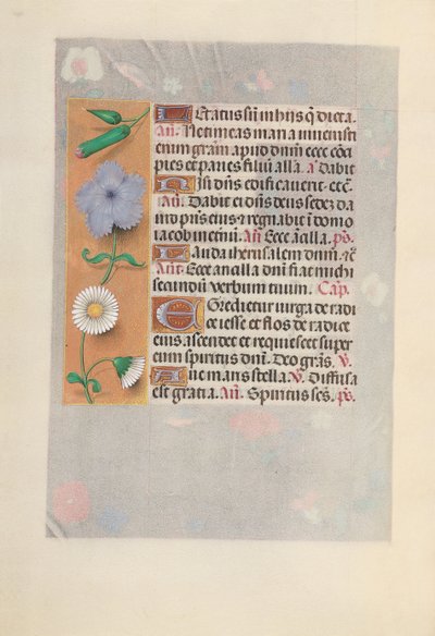 女王イザベラカトリック、スペイン女王の時間：フォル。 160v、c。 1500。 作： Master of the First Prayerbook of Maximillian