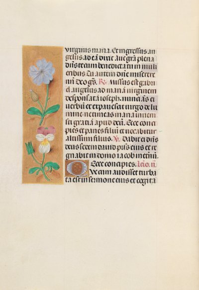 スペイン女王イザベラ女王の時間：フォル。 162v、c。 1500。 作： Master of the First Prayerbook of Maximillian