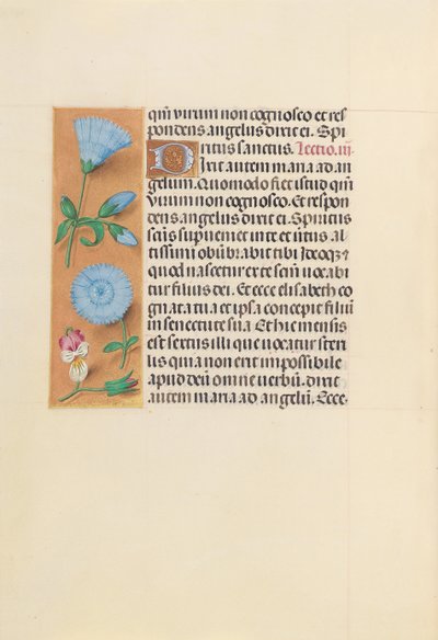 スペイン女王イザベラ女王の時間：フォル。 163v、c。 1500。 作： Master of the First Prayerbook of Maximillian