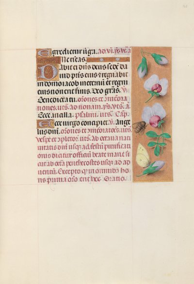 スペイン女王イザベラ女王の時間：フォル。 165r、c。 1500。 作： Master of the First Prayerbook of Maximillian