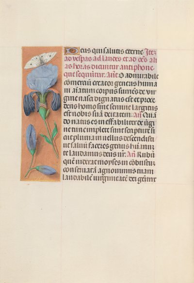 女王イザベラカトリック、スペイン女王の時間：フォル。 165v、c。 1500。 作： Master of the First Prayerbook of Maximillian