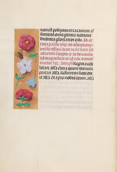 女王イザベラカトリック、スペイン女王の時間：フォル。 166v、c。 1500。 作： Master of the First Prayerbook of Maximillian