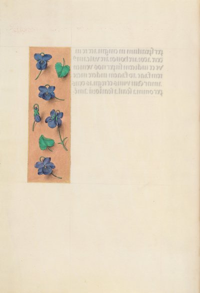 女王イザベラカトリック、スペイン女王の時間：フォル。 16v、ショートボーダー、c。 1500。 作： Master of the First Prayerbook of Maximillian