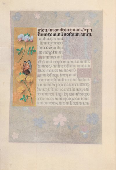 女王イザベラカトリック、スペイン女王の時間：フォル。 174v、c。 1500。 作： Master of the First Prayerbook of Maximillian