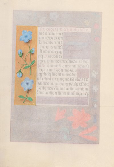 女王イザベラカトリック、スペイン女王の時間：フォル。 176v、c。 1500。 作： Master of the First Prayerbook of Maximillian