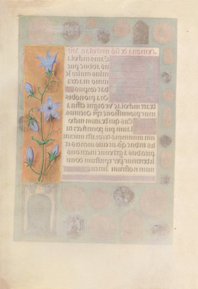 女王イザベラカトリック、スペイン女王の時間：フォル。 184v、c。 1500。 作： Master of the First Prayerbook of Maximillian