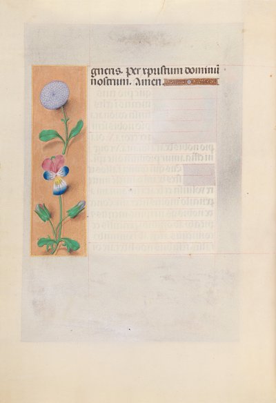 女王イザベラカトリック、スペイン女王の時間：フォル。 196v、c。 1500。 作： Master of the First Prayerbook of Maximillian