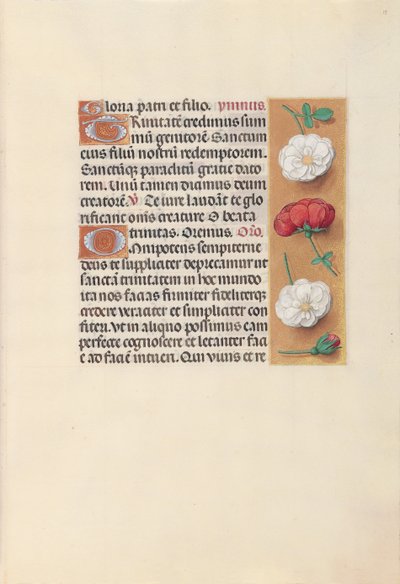 女王イザベラカトリック、スペイン女王の時間：フォル。 19r、c。 1500。 作： Master of the First Prayerbook of Maximillian