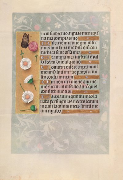 女王イザベラカトリック、スペイン女王の時間：フォル。 200v、c。 1500。 作： Master of the First Prayerbook of Maximillian