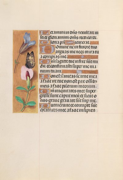 スペイン女王イザベラ女王の時間：フォル。 202v、c。 1500。 作： Master of the First Prayerbook of Maximillian