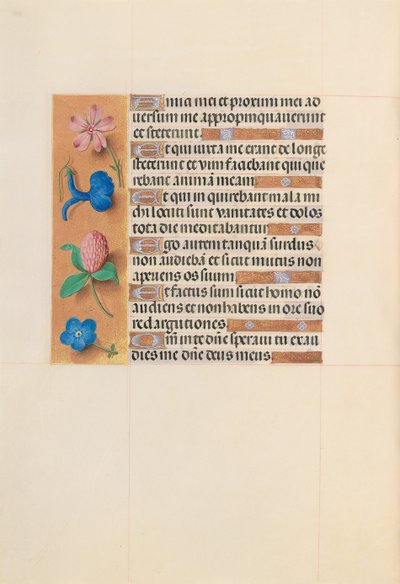 スペイン女王イザベラ女王の時間：フォル。 203v、c。 1500。 作： Master of the First Prayerbook of Maximillian