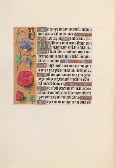 女王イザベラカトリック、スペイン女王の時間：フォル。 204v、c。 1500。 作： Master of the First Prayerbook of Maximillian