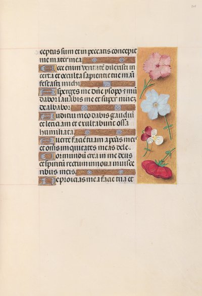 スペイン女王イザベラ女王の時間：フォル。 205r、c。 1500。 作： Master of the First Prayerbook of Maximillian
