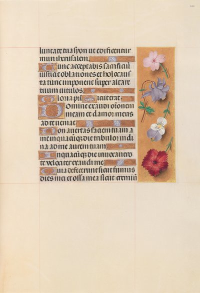 女王イザベラカトリック、スペイン女王の時間：フォル。 206r、c。 1500。 作： Master of the First Prayerbook of Maximillian