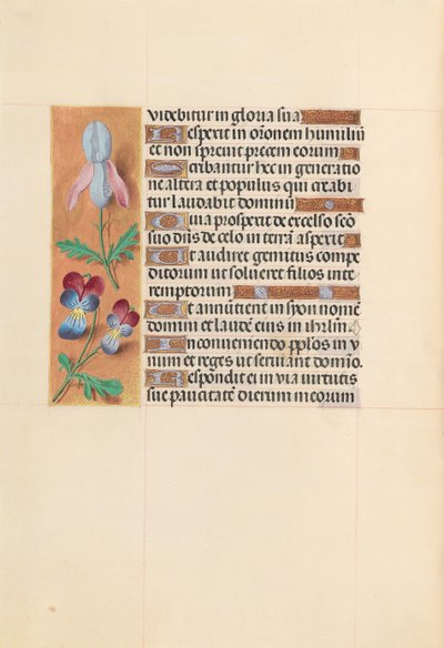 スペイン女王イザベラ女王の時間：フォル。 207v、c。 1500。 作： Master of the First Prayerbook of Maximillian