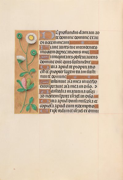 女王イザベラカトリック、スペイン女王の時間：フォル。 208v、c。 1500。 作： Master of the First Prayerbook of Maximillian