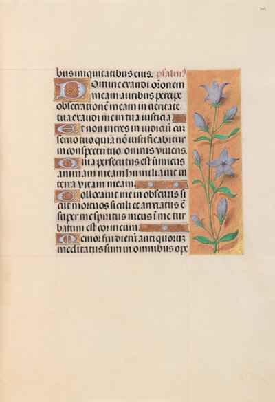 スペイン女王イザベラ女王の時間：フォル。 209r、c。 1500。 作： Master of the First Prayerbook of Maximillian