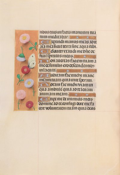 スペイン女王イザベラ女王の時間：フォル。 209v、c。 1500。 作： Master of the First Prayerbook of Maximillian