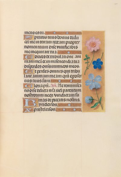 スペイン女王イザベラ女王の時間：フォル。 210r、c。 1500。 作： Master of the First Prayerbook of Maximillian