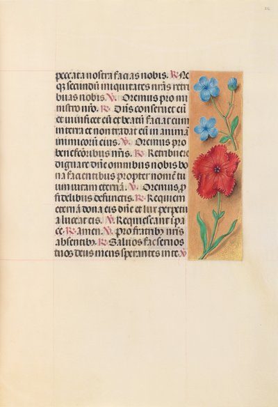 女王イザベラカトリック、スペイン女王の時間：フォル。 216r、c。 1500。 作： Master of the First Prayerbook of Maximillian