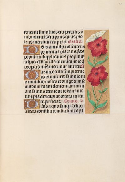女王イザベラカトリック、スペイン女王の時間：フォル。 217r、c。 1500。 作： Master of the First Prayerbook of Maximillian