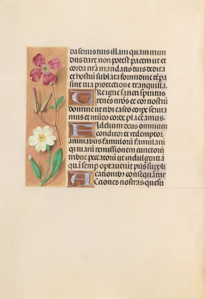 スペイン女王イザベラ女王の時間：フォル。 217v、c。 1500。 作： Master of the First Prayerbook of Maximillian