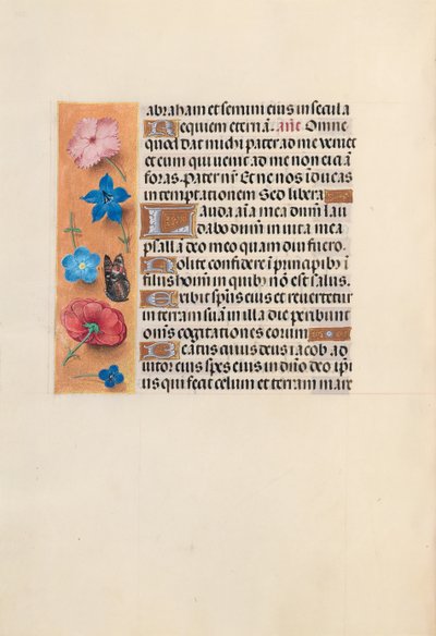 女王イザベラカトリック、スペイン女王の時間：フォル。 224v、c。 1500。 作： Master of the First Prayerbook of Maximillian