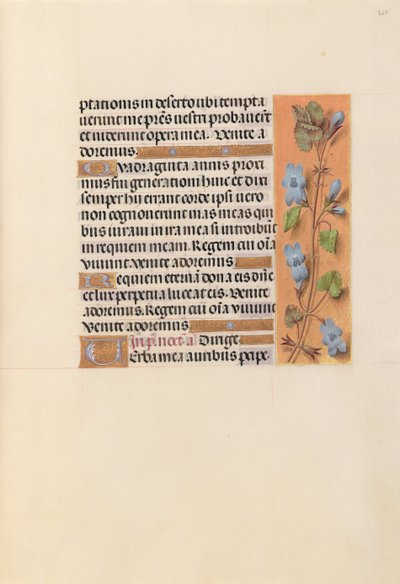スペイン女王イザベラ女王の時間：フォル。 227r、c。 1500。 作： Master of the First Prayerbook of Maximillian
