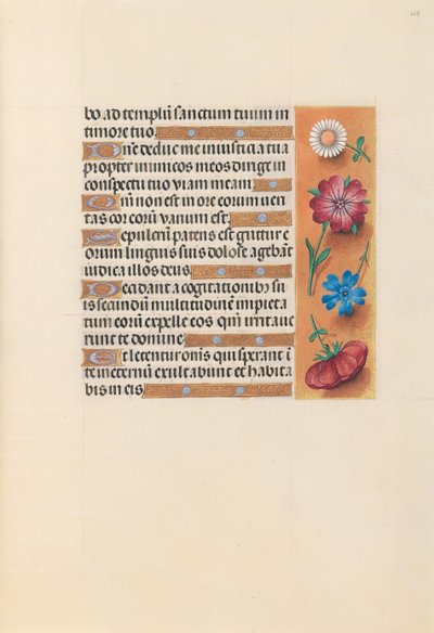 女王イザベラカトリック、スペイン女王の時間：フォル。 228r、c。 1500。 作： Master of the First Prayerbook of Maximillian