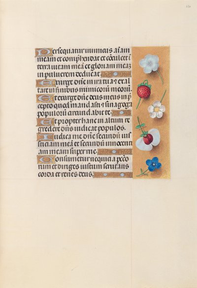 スペイン女王イザベラ女王の時間：フォル。 230r、c。 1500。 作： Master of the First Prayerbook of Maximillian