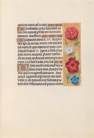 女王イザベラカトリック、スペイン女王の時間：フォル。 231r、c。 1500。 作： Master of the First Prayerbook of Maximillian