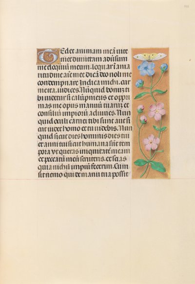 女王イザベラカトリック、スペイン女王の時間：フォル。 232r、c。 1500。 作： Master of the First Prayerbook of Maximillian