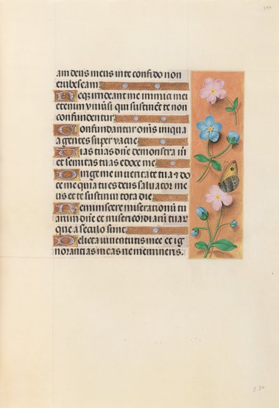 女王イザベラカトリック、スペイン女王の時間：フォル。 234r、c。 1500。 作： Master of the First Prayerbook of Maximillian
