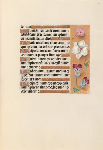 女王イザベラカトリック、スペイン女王の時間：フォル。 235r、c。 1500。 作： Master of the First Prayerbook of Maximillian