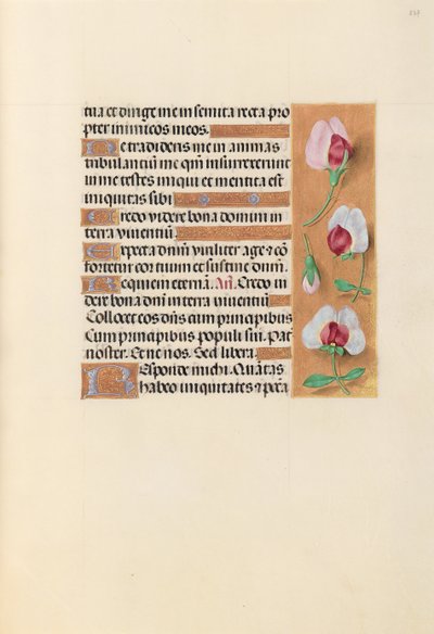女王イザベラカトリック、スペイン女王の時間：フォル。 237r、c。 1500。 作： Master of the First Prayerbook of Maximillian