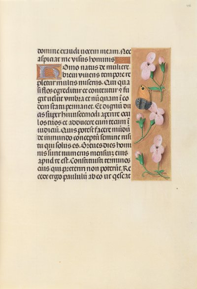 スペイン女王イザベラ女王の時間：フォル。 238r、c。 1500。 作： Master of the First Prayerbook of Maximillian