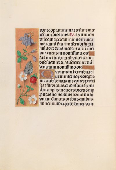 女王イザベラカトリック、スペイン女王の時間：フォル。 238v、c。 1500。 作： Master of the First Prayerbook of Maximillian