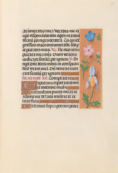 女王イザベラカトリック、スペイン女王の時間：フォル。 239r、c。 1500。 作： Master of the First Prayerbook of Maximillian