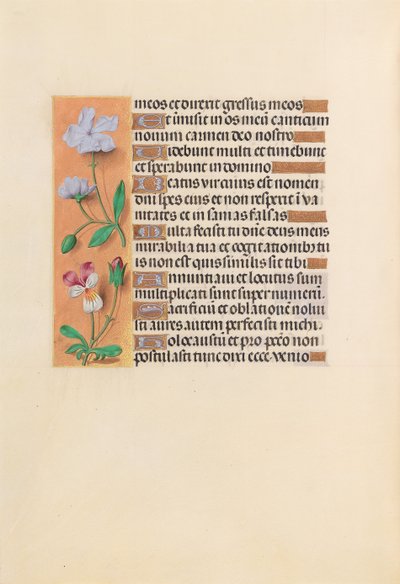 女王イザベラカトリック、スペイン女王の時間：フォル。 239v、c。 1500。 作： Master of the First Prayerbook of Maximillian