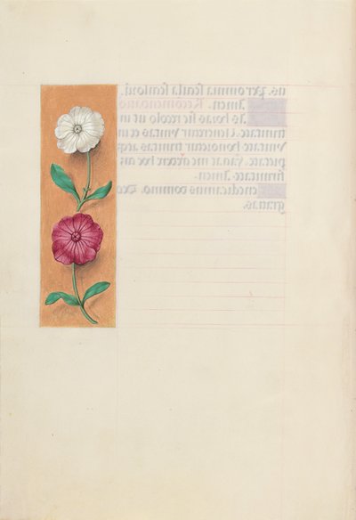 女王イザベラカトリック、スペイン女王の時間：フォル。 23v、c。 1500。 作： Master of the First Prayerbook of Maximillian